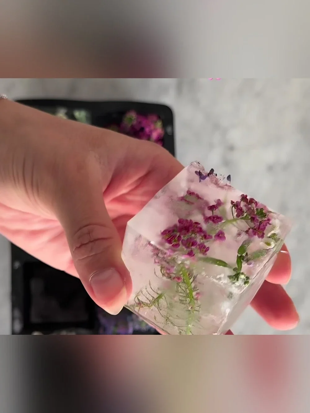 Bundle Flower/Fruit Silicone Round Square Ice Mold